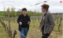 photo Dans le Gers, ces viticultrices prouvent que la vigne n'est pas qu'un métier d'hommes